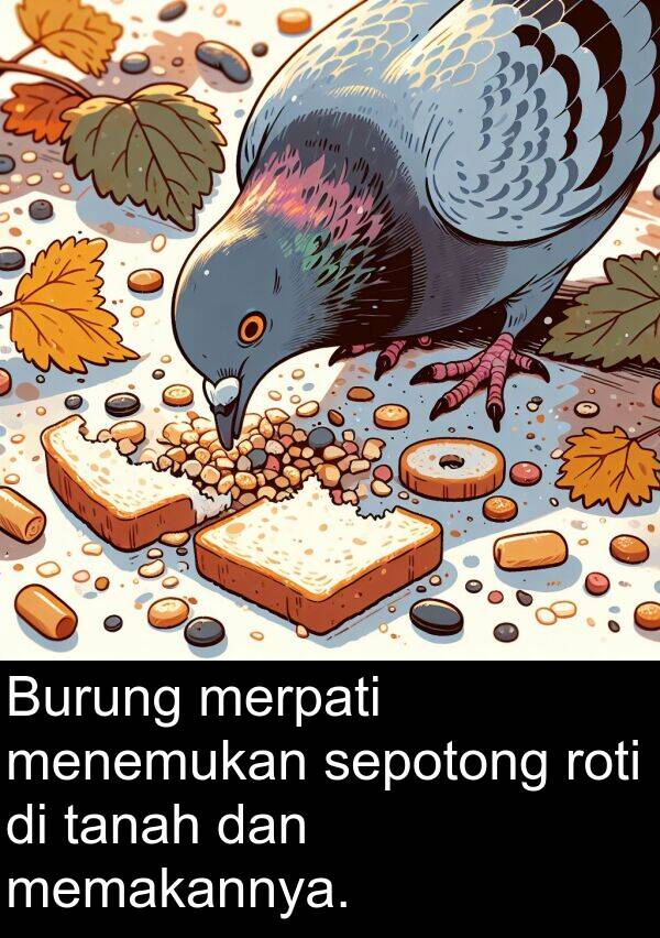 memakannya: Burung merpati menemukan sepotong roti di tanah dan memakannya.