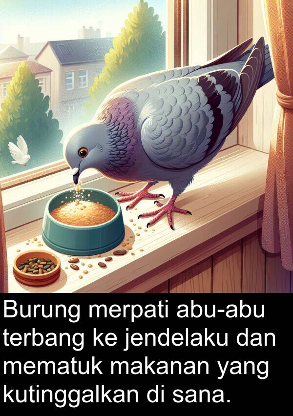 sana: Burung merpati abu-abu terbang ke jendelaku dan mematuk makanan yang kutinggalkan di sana.
