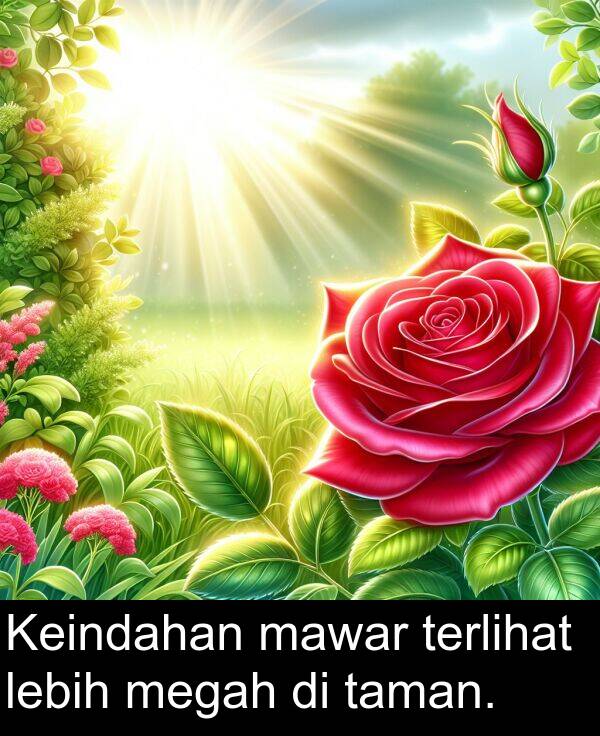 mawar: Keindahan mawar terlihat lebih megah di taman.