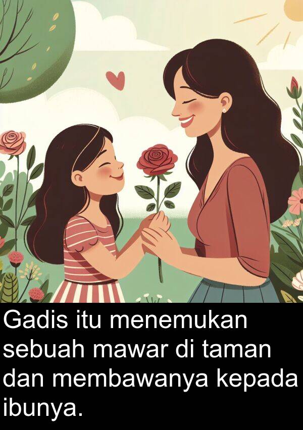 mawar: Gadis itu menemukan sebuah mawar di taman dan membawanya kepada ibunya.