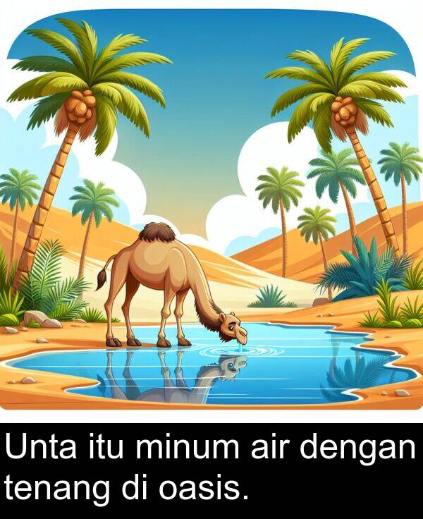 tenang: Unta itu minum air dengan tenang di oasis.