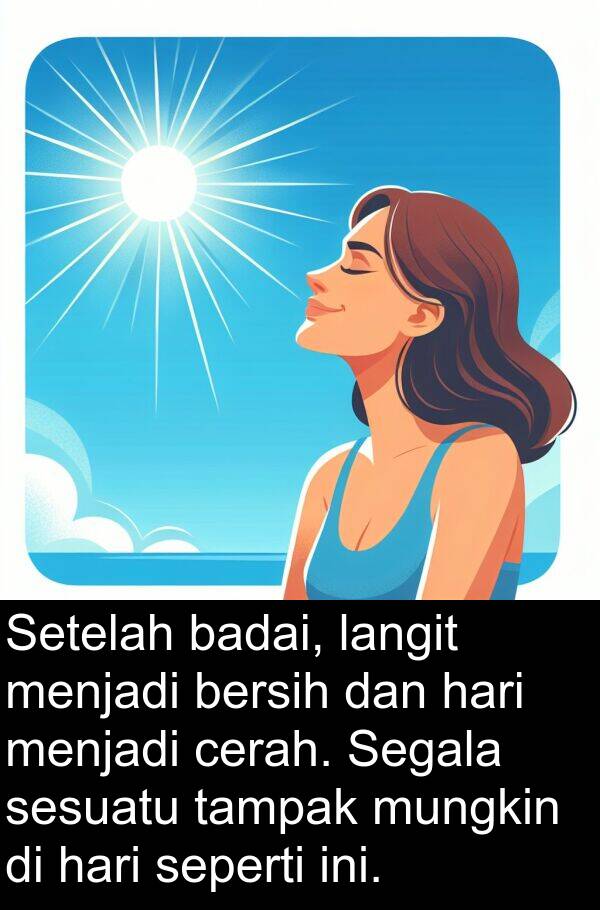 tampak: Setelah badai, langit menjadi bersih dan hari menjadi cerah. Segala sesuatu tampak mungkin di hari seperti ini.