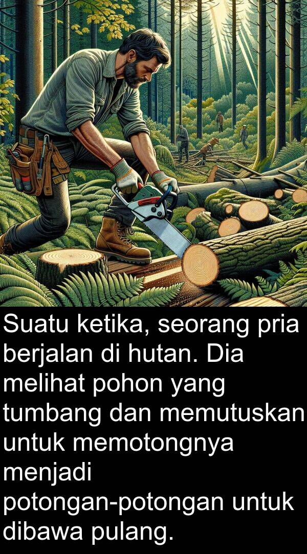 pria: Suatu ketika, seorang pria berjalan di hutan. Dia melihat pohon yang tumbang dan memutuskan untuk memotongnya menjadi potongan-potongan untuk dibawa pulang.