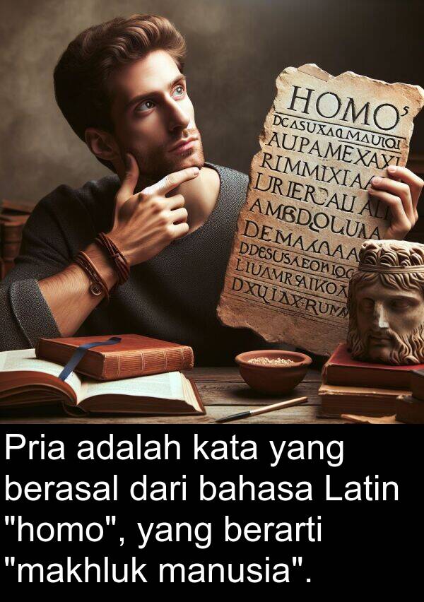 bahasa: Pria adalah kata yang berasal dari bahasa Latin "homo", yang berarti "makhluk manusia".