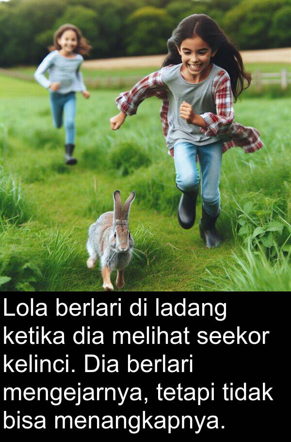 ladang: Lola berlari di ladang ketika dia melihat seekor kelinci. Dia berlari mengejarnya, tetapi tidak bisa menangkapnya.