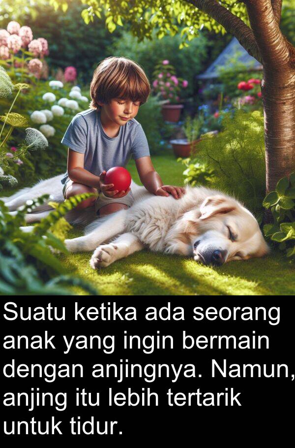 anjing: Suatu ketika ada seorang anak yang ingin bermain dengan anjingnya. Namun, anjing itu lebih tertarik untuk tidur.