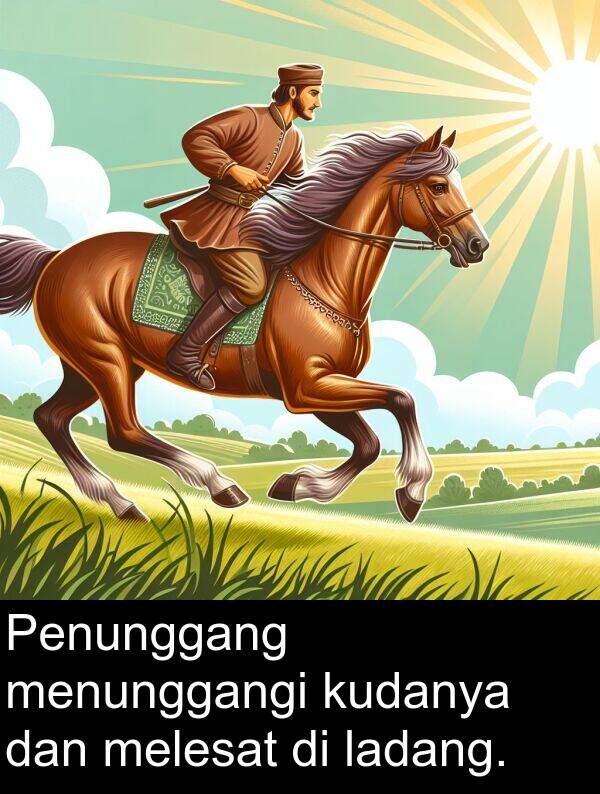 melesat: Penunggang menunggangi kudanya dan melesat di ladang.