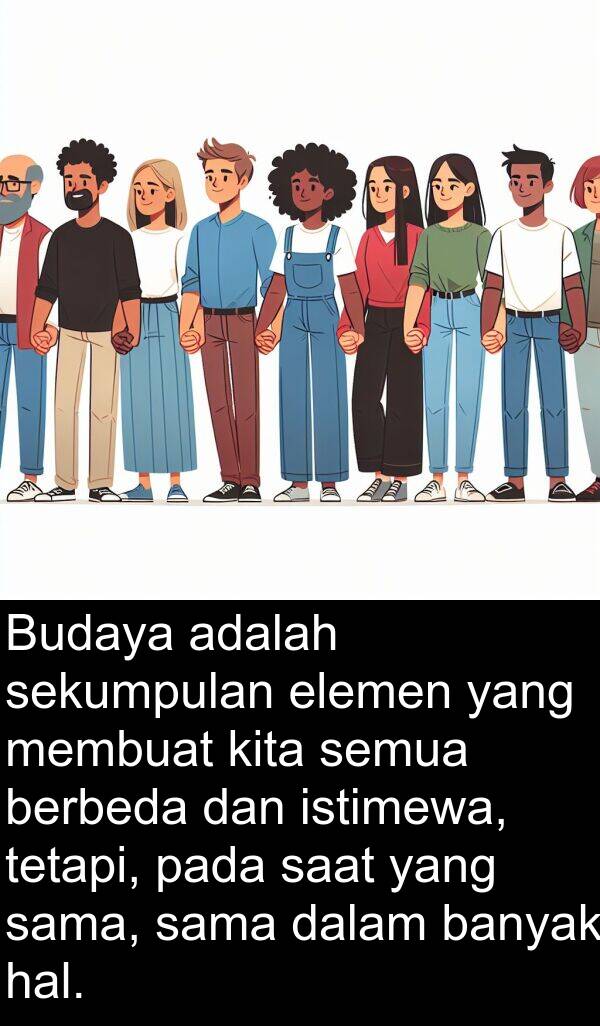 hal: Budaya adalah sekumpulan elemen yang membuat kita semua berbeda dan istimewa, tetapi, pada saat yang sama, sama dalam banyak hal.