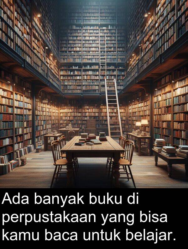 kamu: Ada banyak buku di perpustakaan yang bisa kamu baca untuk belajar.