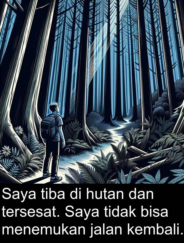 hutan: Saya tiba di hutan dan tersesat. Saya tidak bisa menemukan jalan kembali.