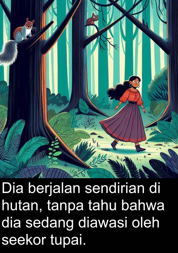 sedang: Dia berjalan sendirian di hutan, tanpa tahu bahwa dia sedang diawasi oleh seekor tupai.