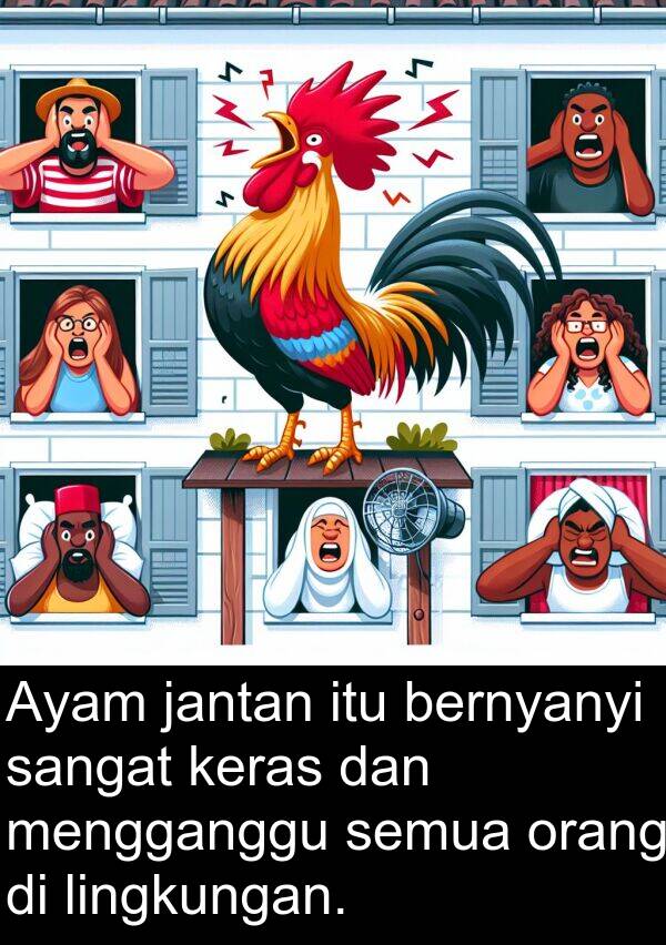 lingkungan: Ayam jantan itu bernyanyi sangat keras dan mengganggu semua orang di lingkungan.