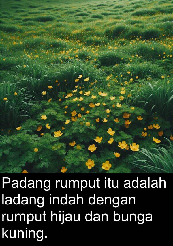 rumput: Padang rumput itu adalah ladang indah dengan rumput hijau dan bunga kuning.