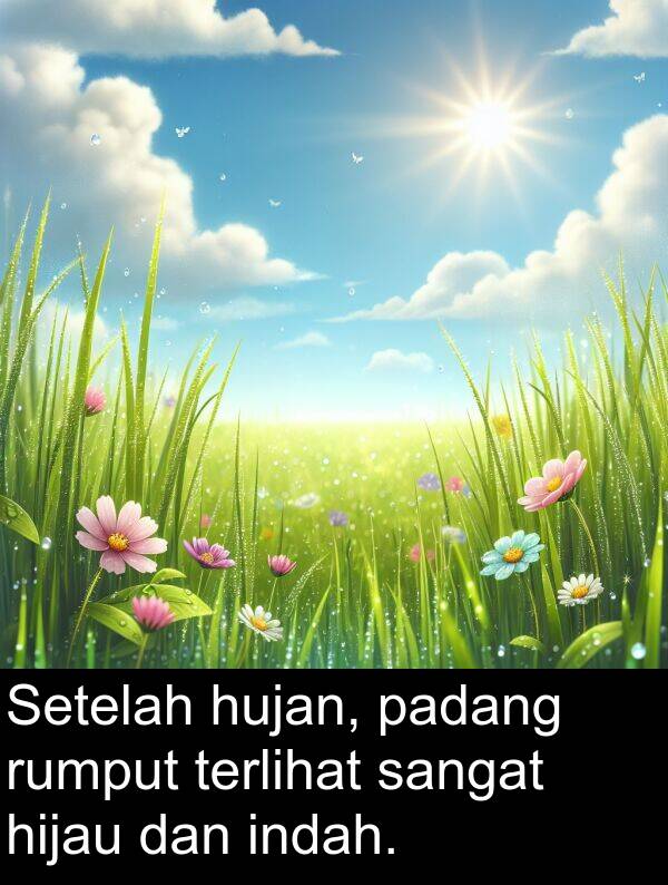 hujan: Setelah hujan, padang rumput terlihat sangat hijau dan indah.