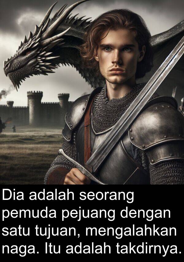 naga: Dia adalah seorang pemuda pejuang dengan satu tujuan, mengalahkan naga. Itu adalah takdirnya.