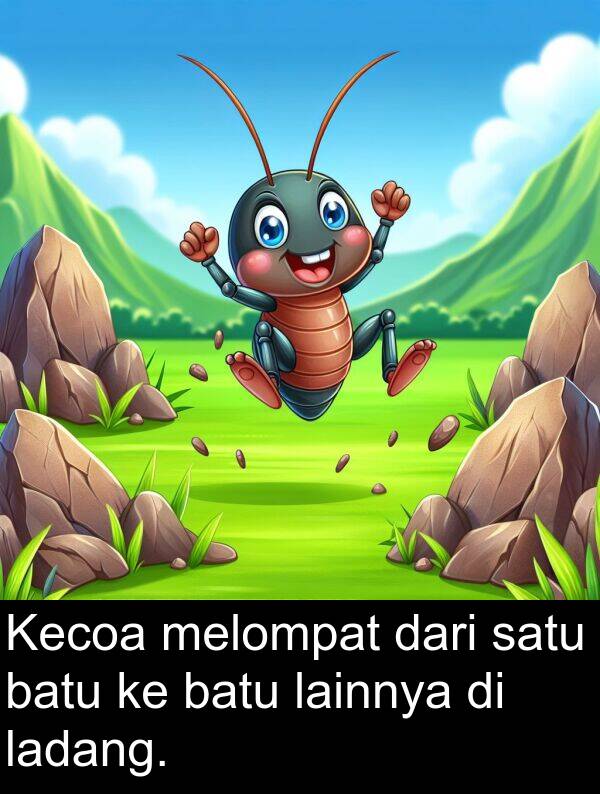 lainnya: Kecoa melompat dari satu batu ke batu lainnya di ladang.