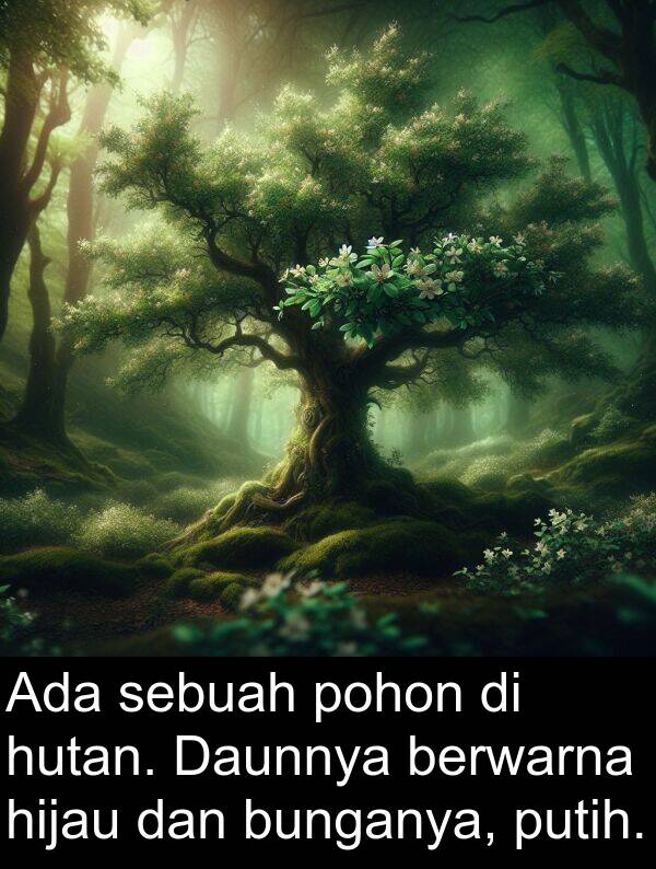 hutan: Ada sebuah pohon di hutan. Daunnya berwarna hijau dan bunganya, putih.