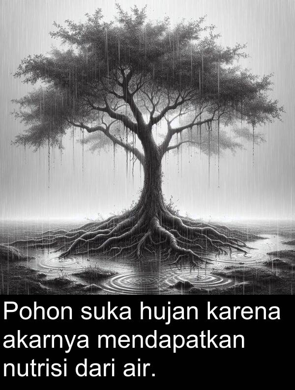 hujan: Pohon suka hujan karena akarnya mendapatkan nutrisi dari air.
