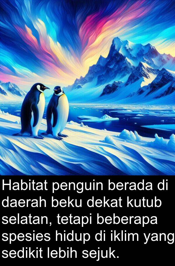sedikit: Habitat penguin berada di daerah beku dekat kutub selatan, tetapi beberapa spesies hidup di iklim yang sedikit lebih sejuk.