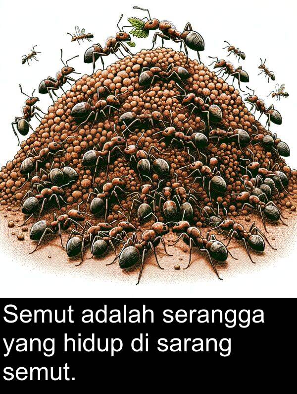 serangga: Semut adalah serangga yang hidup di sarang semut.