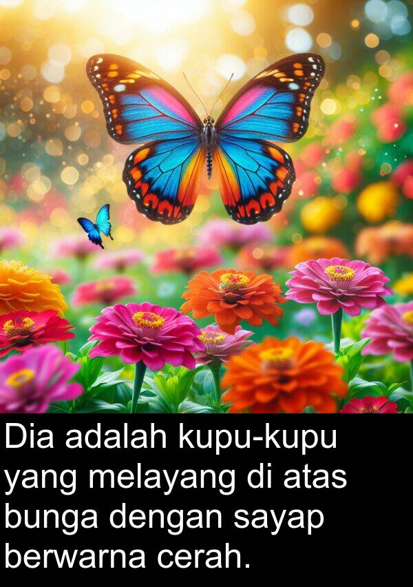 melayang: Dia adalah kupu-kupu yang melayang di atas bunga dengan sayap berwarna cerah.