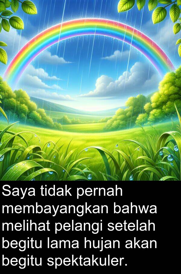 membayangkan: Saya tidak pernah membayangkan bahwa melihat pelangi setelah begitu lama hujan akan begitu spektakuler.