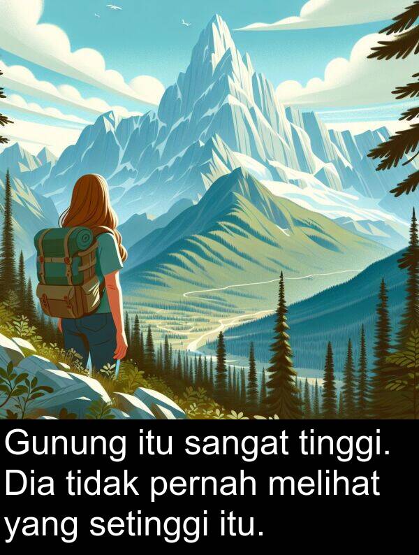 setinggi: Gunung itu sangat tinggi. Dia tidak pernah melihat yang setinggi itu.