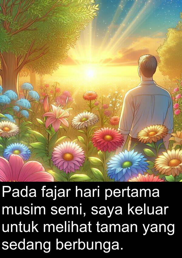 sedang: Pada fajar hari pertama musim semi, saya keluar untuk melihat taman yang sedang berbunga.