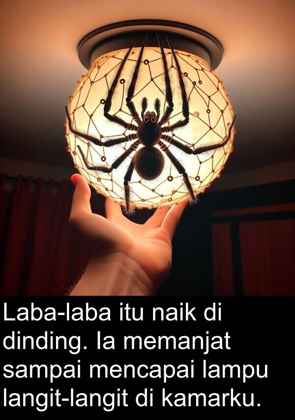 naik: Laba-laba itu naik di dinding. Ia memanjat sampai mencapai lampu langit-langit di kamarku.