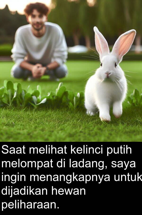 ladang: Saat melihat kelinci putih melompat di ladang, saya ingin menangkapnya untuk dijadikan hewan peliharaan.