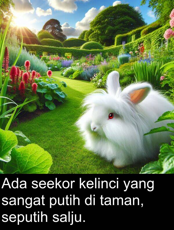 seputih: Ada seekor kelinci yang sangat putih di taman, seputih salju.