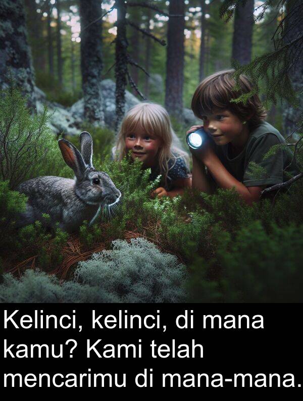 telah: Kelinci, kelinci, di mana kamu? Kami telah mencarimu di mana-mana.