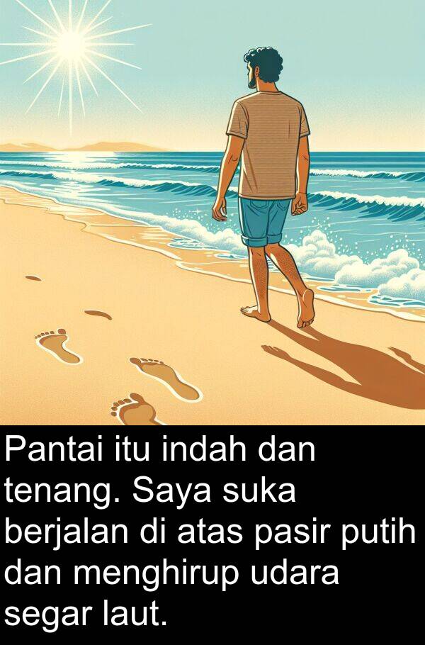pasir: Pantai itu indah dan tenang. Saya suka berjalan di atas pasir putih dan menghirup udara segar laut.