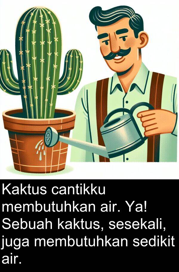 sedikit: Kaktus cantikku membutuhkan air. Ya! Sebuah kaktus, sesekali, juga membutuhkan sedikit air.