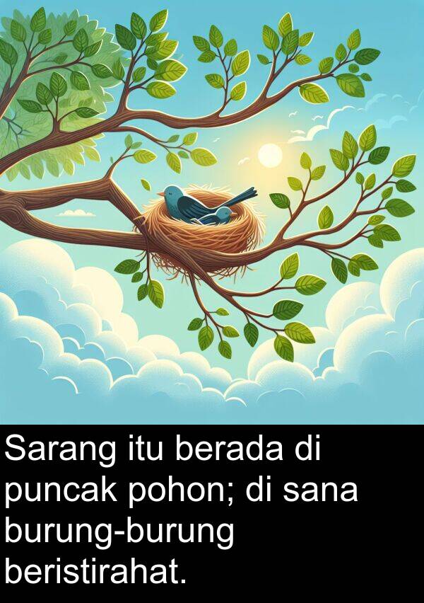 sana: Sarang itu berada di puncak pohon; di sana burung-burung beristirahat.