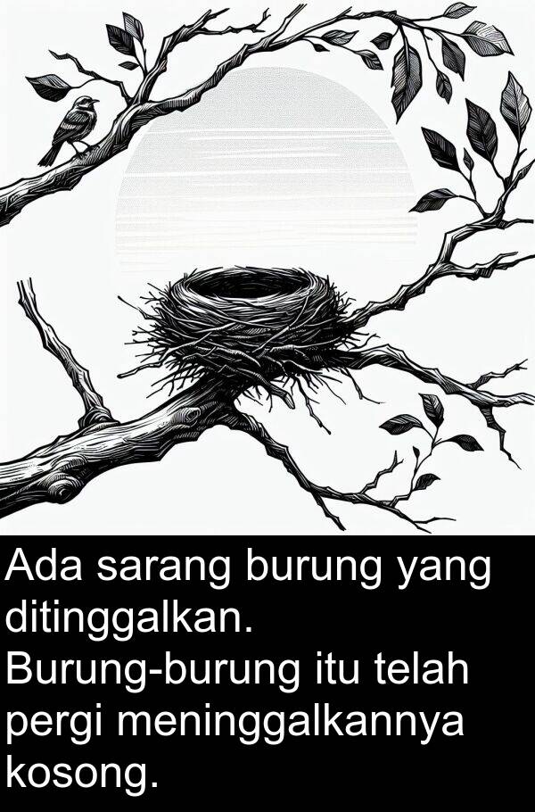 sarang: Ada sarang burung yang ditinggalkan. Burung-burung itu telah pergi meninggalkannya kosong.