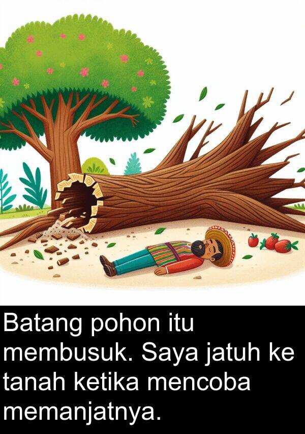 memanjatnya: Batang pohon itu membusuk. Saya jatuh ke tanah ketika mencoba memanjatnya.
