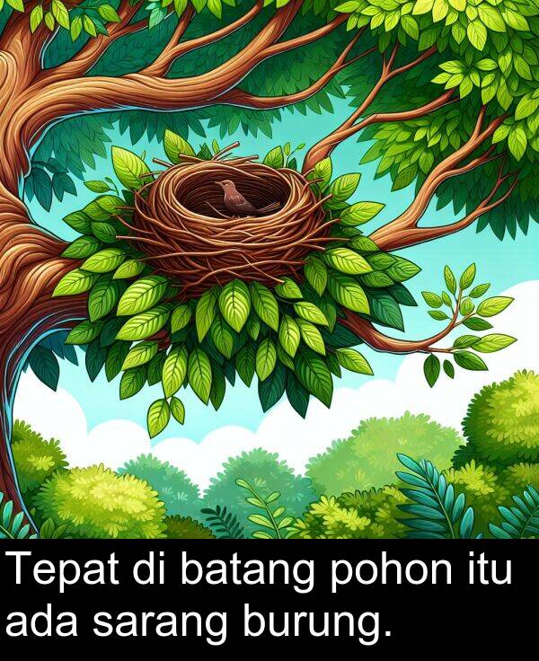 sarang: Tepat di batang pohon itu ada sarang burung.