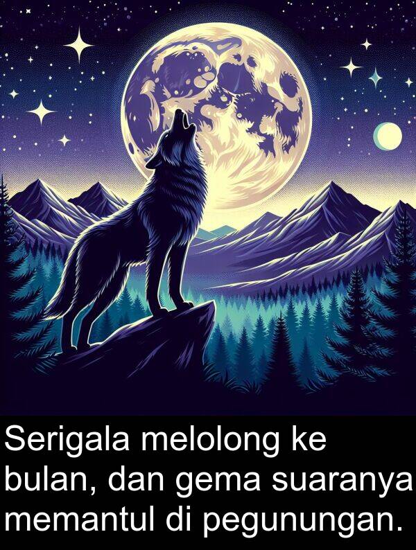 melolong: Serigala melolong ke bulan, dan gema suaranya memantul di pegunungan.