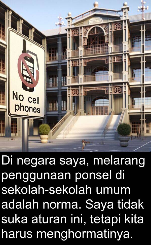 norma: Di negara saya, melarang penggunaan ponsel di sekolah-sekolah umum adalah norma. Saya tidak suka aturan ini, tetapi kita harus menghormatinya.