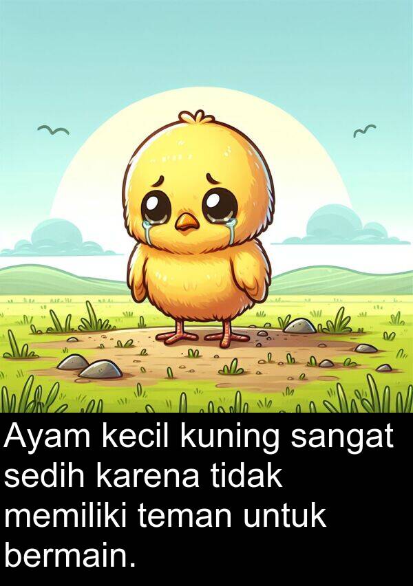 teman: Ayam kecil kuning sangat sedih karena tidak memiliki teman untuk bermain.