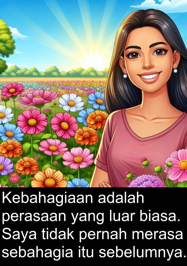sebelumnya: Kebahagiaan adalah perasaan yang luar biasa. Saya tidak pernah merasa sebahagia itu sebelumnya.