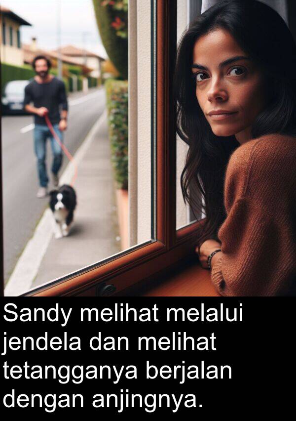 anjingnya: Sandy melihat melalui jendela dan melihat tetangganya berjalan dengan anjingnya.