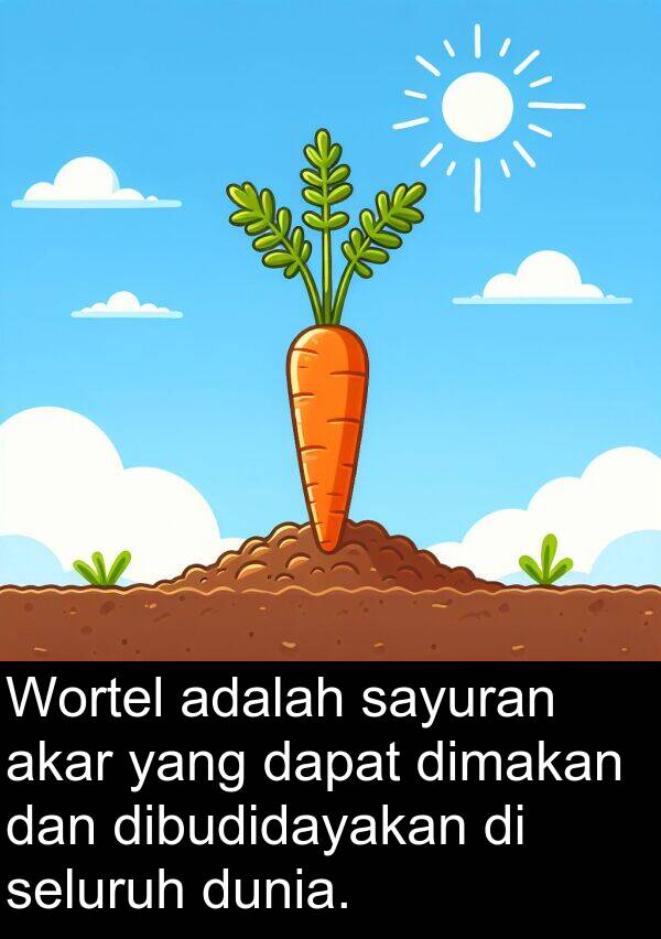 sayuran: Wortel adalah sayuran akar yang dapat dimakan dan dibudidayakan di seluruh dunia.