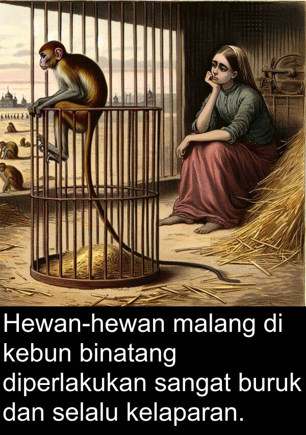 malang: Hewan-hewan malang di kebun binatang diperlakukan sangat buruk dan selalu kelaparan.