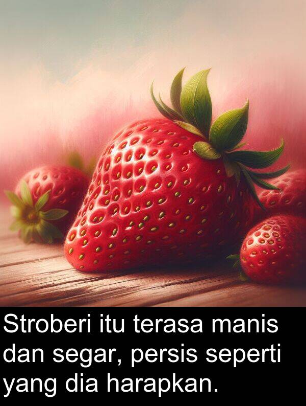 segar: Stroberi itu terasa manis dan segar, persis seperti yang dia harapkan.