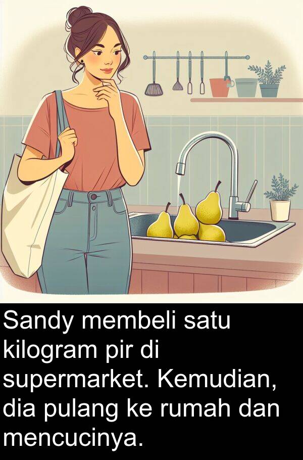pir: Sandy membeli satu kilogram pir di supermarket. Kemudian, dia pulang ke rumah dan mencucinya.