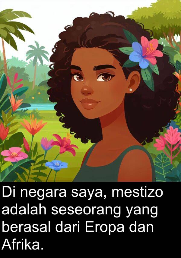 negara: Di negara saya, mestizo adalah seseorang yang berasal dari Eropa dan Afrika.