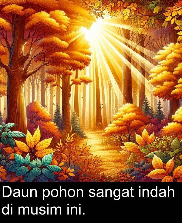 ini: Daun pohon sangat indah di musim ini.
