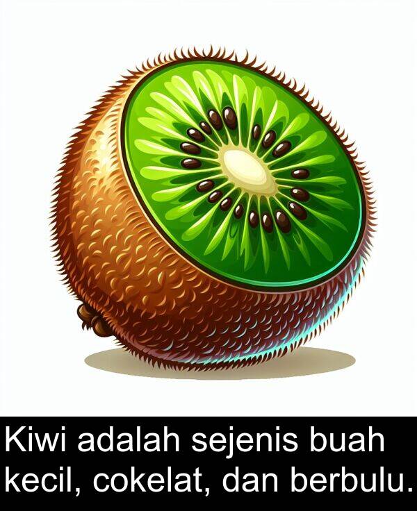 sejenis: Kiwi adalah sejenis buah kecil, cokelat, dan berbulu.